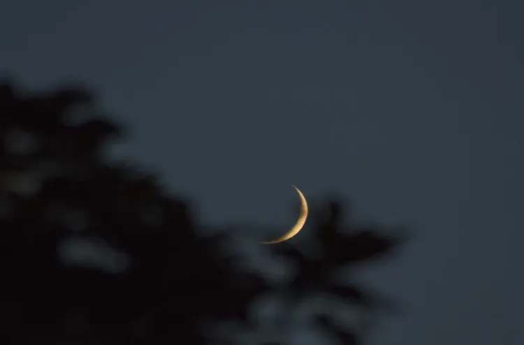 عيد الفطر المبارك يحل الاثنين بكل من مصر والأردن وسلطنة عمان وسوريا والعراق