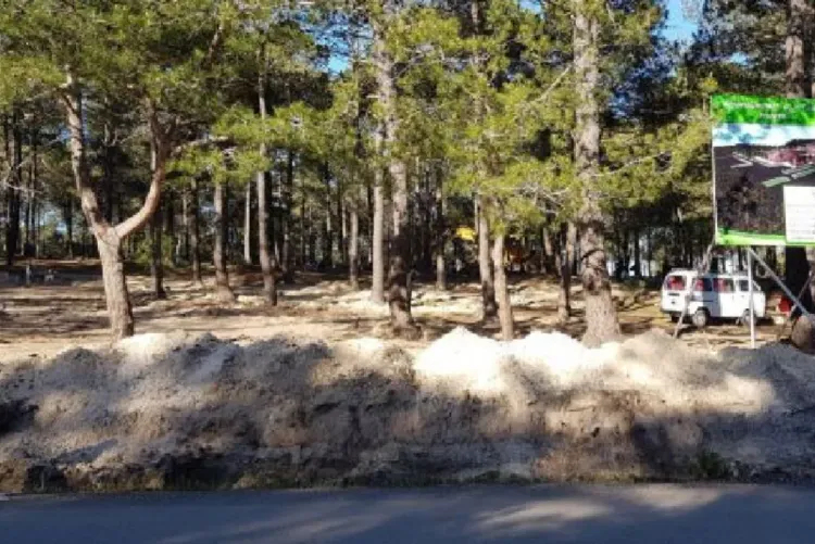 غابة البرج بضواحي طنجة.. أشغال حراجية تقنية مشروعة لإنشاء خط كهربائي عالي الجهد (وكالة)