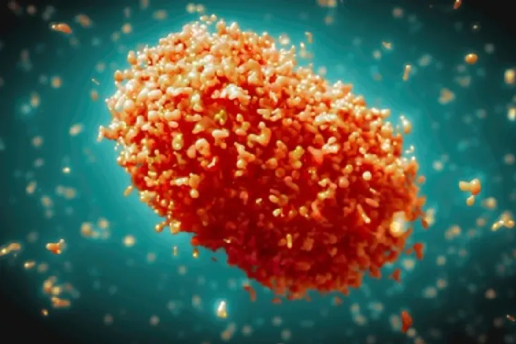 غانا تسجل أول حالة وفاة بفيروس جدري القردة "إمبوكس"