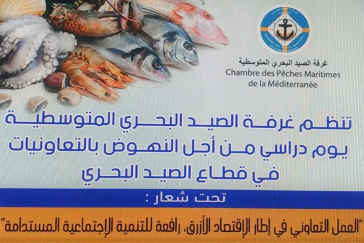 غرفة الصيد المتوسطية بطنجة تحتضن يوماً دراسياً حول دور التعاونيات في تنمية الاقتصاد الأزرق