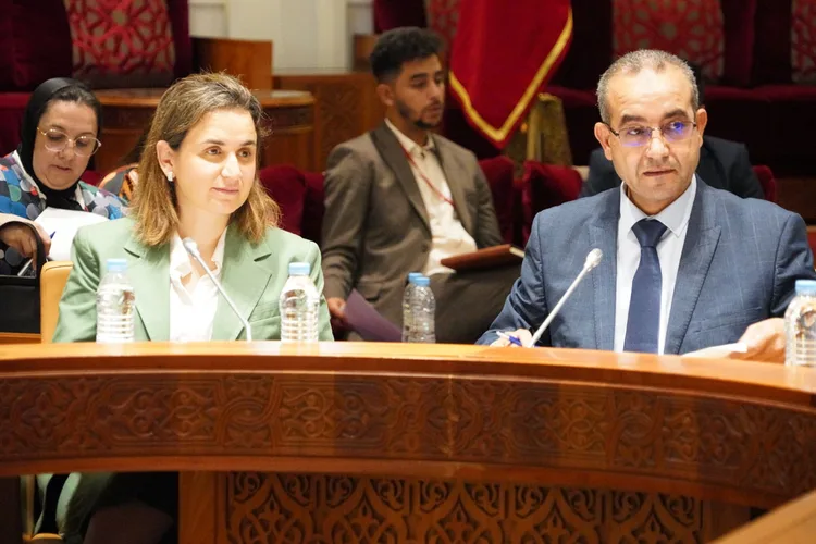 غيثة مزور تعلن عن إطلاق بوابة موحدة لتمكين المواطنين من الولوج إلى جميع الخدمات الرقمية