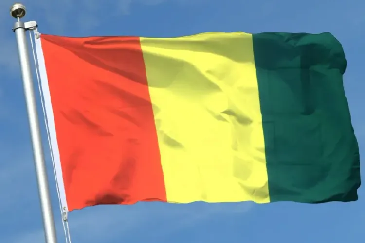 غينيا .. الإعلان عن إحداث مديرية عامة للانتخابات