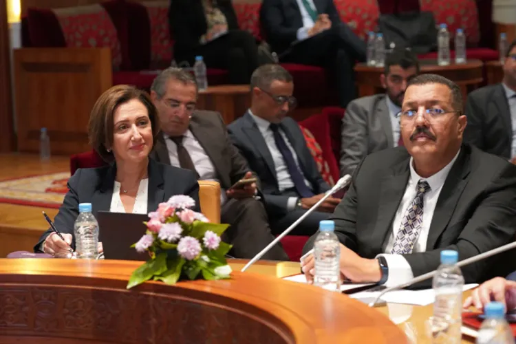 السيدة فاطمة الزهراء عمور : عدد المسجلين بالسجل الوطني للصناعة التقليدية ناهز 300 ألف مسجل