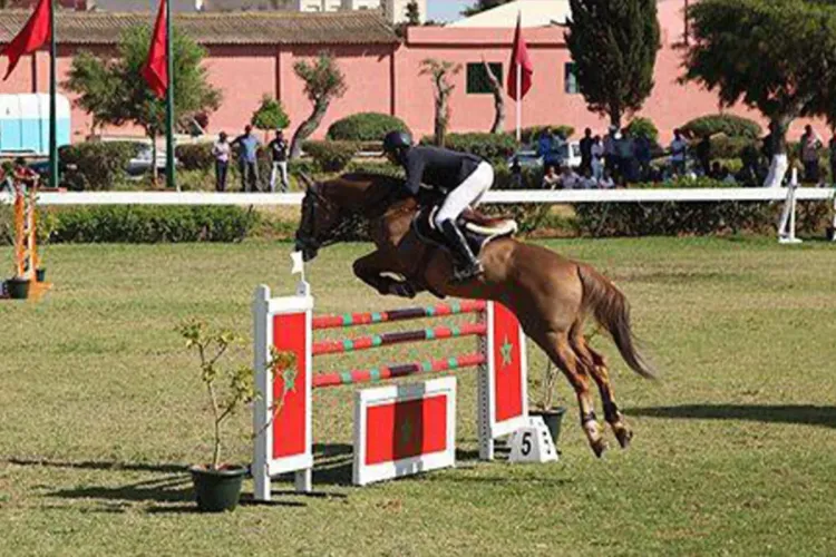 جائزة الأمير مولاي الحسن في القفز على الحواجز : الفارس غالي بوكجا يفوز باللقب