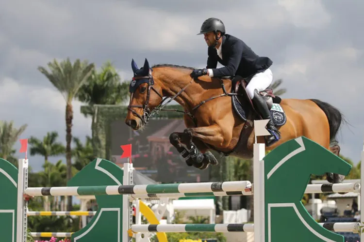 ألعاب البحر الأبيض المتوسط وهران 2022 : خمسة فرسان مغاربة يشاركون في مسابقة القفز على الحواجز