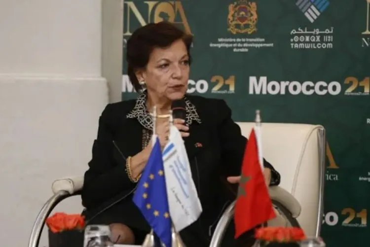 المغرب أحد الأسواق الأكثر نشاطا في إفريقيا - البنك الأوروبي للاستثمار