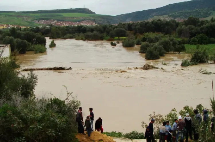 فيضانات الغرب.. المكتب الجهوي للاستثمار الفلاحي يكثف تدخلاته لدعم الفلاحين