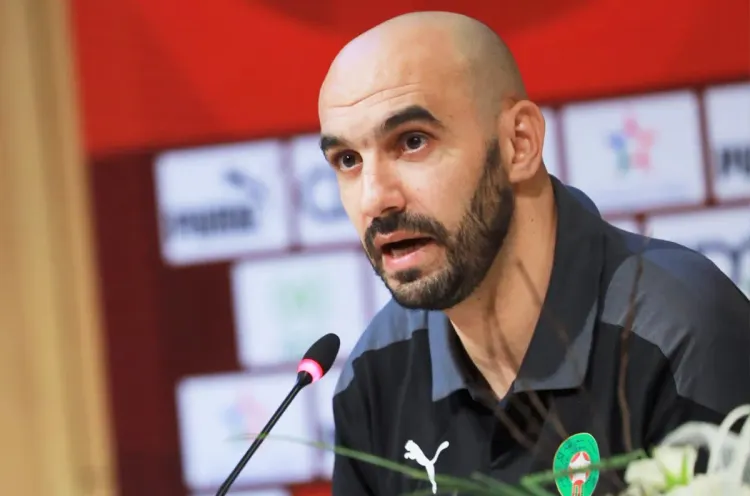 وليد الركراكي: رغم تأهلنا تلقائيا لكأس إفريقيا 2025 سنعمل على تجريب صيغ تكتيكية جديدة
