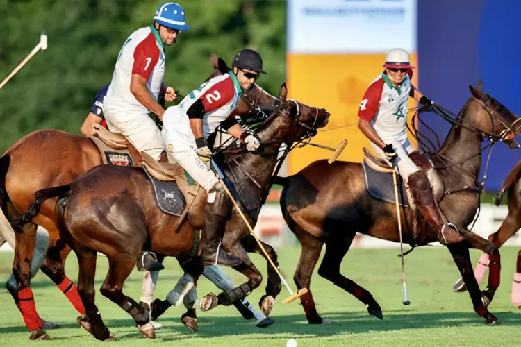 كأس العرش للبولو 2023: انطلاق الدورة الثانية في الفترة من 14 إلى 19 نونبر الجاري