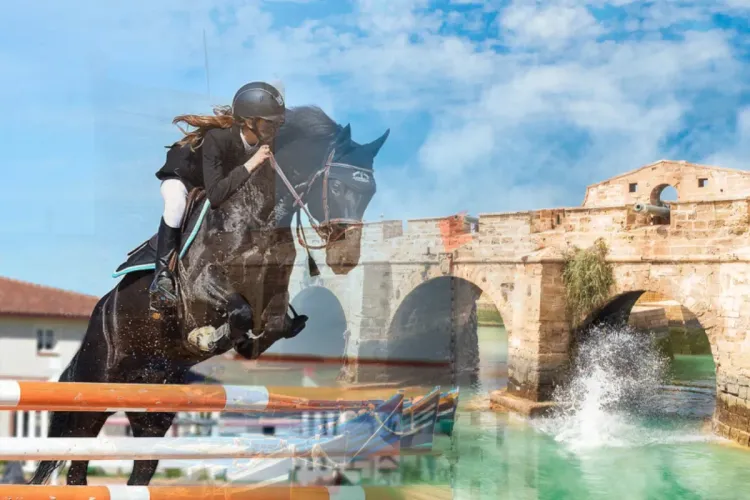 لحاق المغرب للفروسية 2022: تنظيم الدورة الثانية من 8 إلى 11 مارس المقبل بالصويرة