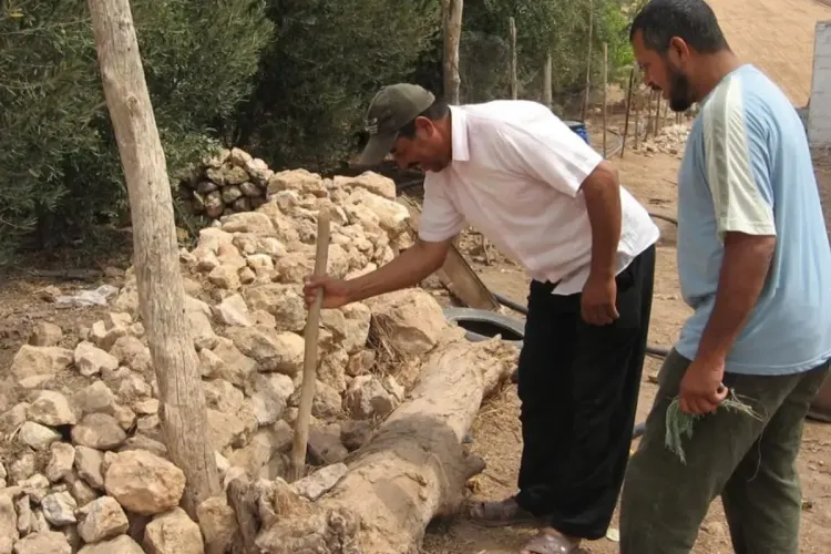 لسعات العقارب: اليقظة والتحسيس من أجل الوقاية من مأساة يمكن تجنبها