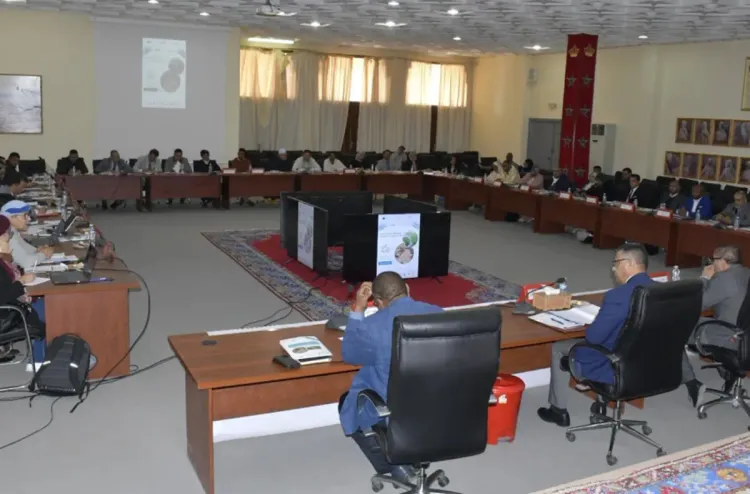 "تعزيز واستدامة ومرونة المنظومة البيئية للواحات في مواجهة تغير المناخ" محور لقاء دراسي بطاطا