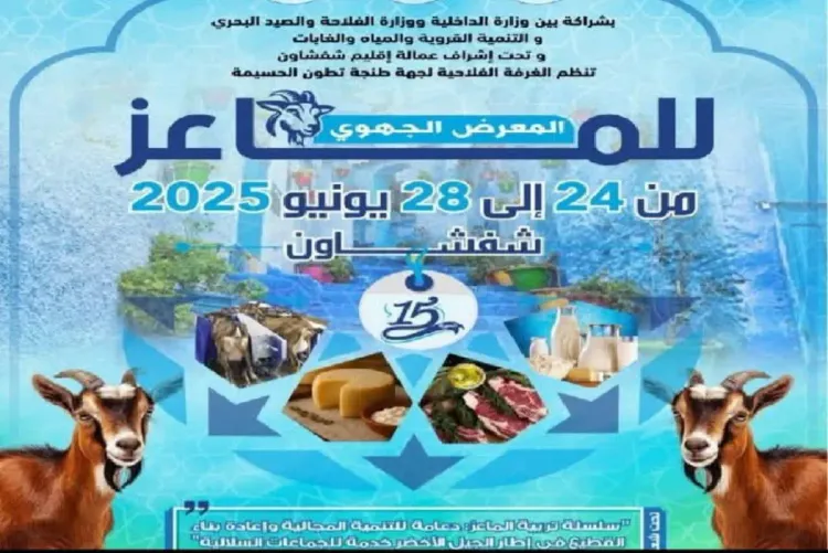انعقاد الدورة الخامسة عشرة للمعرض الجهوي للماعز بشفشاون من 24 الى 28 يونيو الجاري