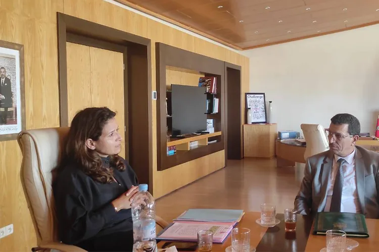 السيدة ليلى بنعلي : تحقيق الأمن الطاقي في صلب اهتمامات الحكومة