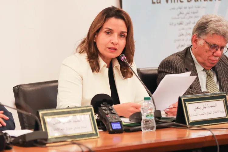السيدة بنعلي تدعو إلى تجاوز الصعاب التي تعيق التكامل العربي في قطاع التعدين