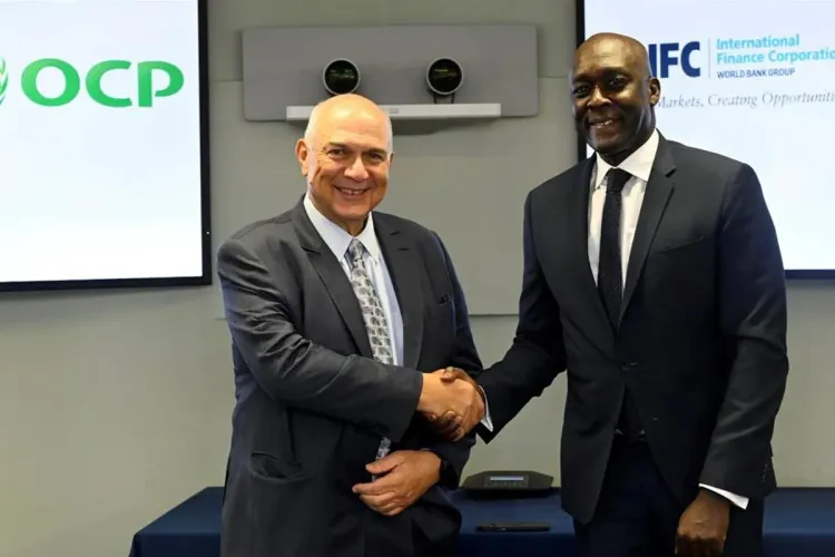 مؤسسة التمويل الدولية والمكتب الشريف للفوسفاط يطلقان منصة جديدة للتمويل الفلاحي