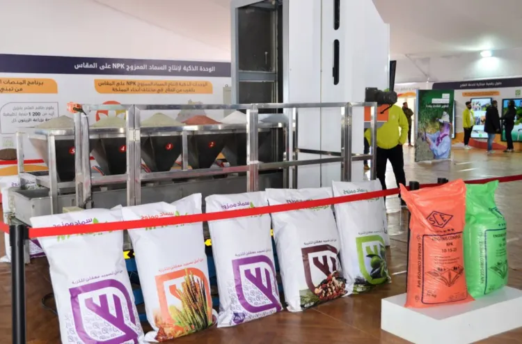 مبادرة المثمر: إنشاء أزيد من 5.951 منصة تطبيقية خاصة بأشجار الزيتون منذ إطلاق المبادرة