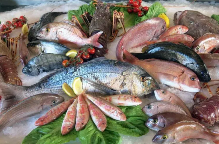 الدورة السابعة من مبادرة "الحوت بثمن معقول": توزيع أزيد من 4 آلاف طن من الأسماك المجمدة