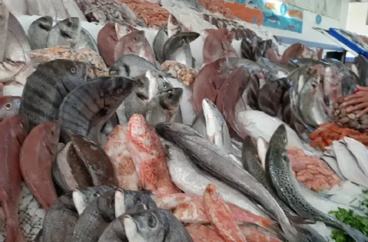 مبادرة "الحوت بثمن معقول".. إطلاق نقطة لبيع الأسماك المجمدة في سلا الجديدة