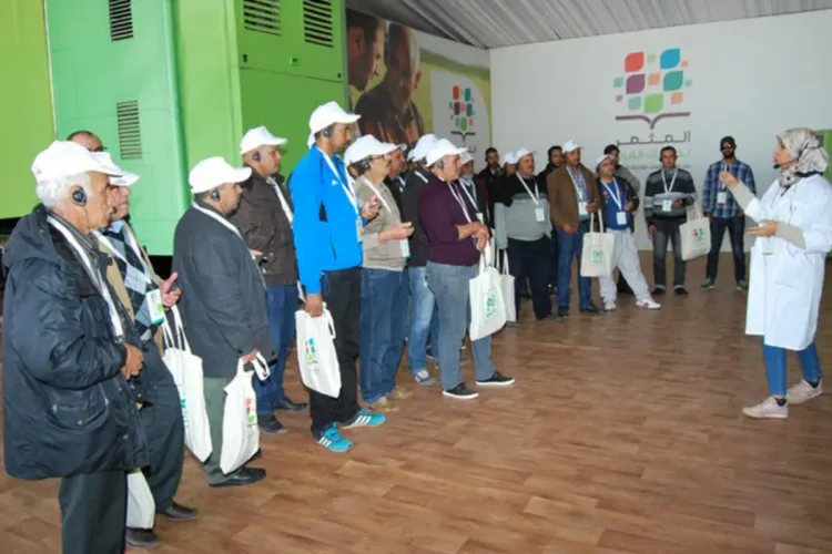 برنامج المثمر : إعداد أزيد من 920 منصة تطبيقية خاصة بزراعة الخضراوات