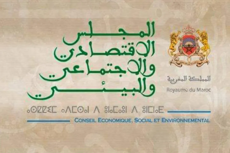 المجلس الاقتصادي والاجتماعي والبيئي ينصح بمراجعة مدونة الأسرة