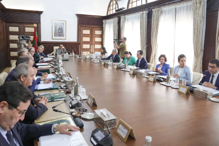 مجلس الحكومة يصادق على مشروع قانون متعلق بالتعليم العالي والبحث العلمي