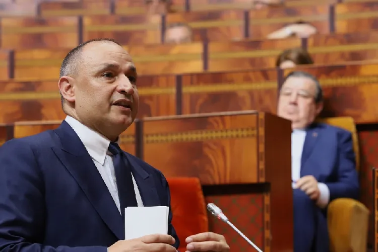 بنك المشاريع.. عدد المشاريع الصناعية يبلغ 1905 من بينها 493 مشروعا متعلقا بالصناعة الغذائية (السيد مزور)