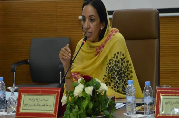 حصيلة منجزات مجلس جهة كلميم-وادنون "جد إيجابية" تطلبت تعبئة غلاف مالي يقدر ب 13.5 مليار درهم (السيدة بوعيدة)