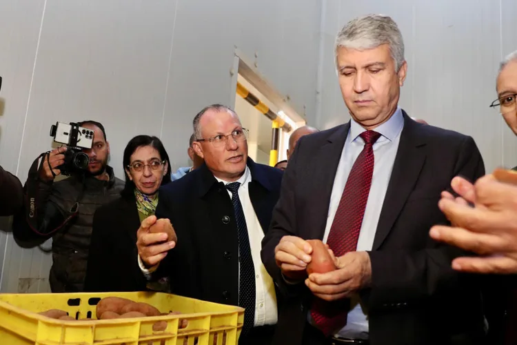 محمد صديقي: تموين كبير للسوق الوطني بالمنتجات الغذائية لشهر رمضان