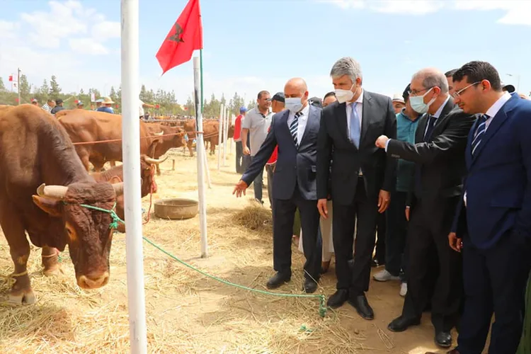إطلاق وزيارة مشاريع للتنمية الفلاحية والقروية بإقليم تارودانت