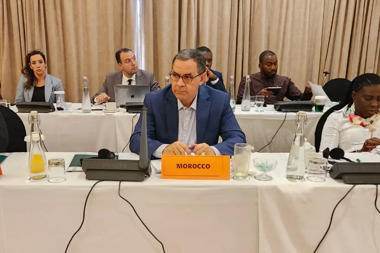 مجلس السلم والأمن الإفريقي: المغرب يجدد دعمه لكافة المبادرات الرامية إلى إرساء السلم وتعزيز التنمية بجنوب السودان