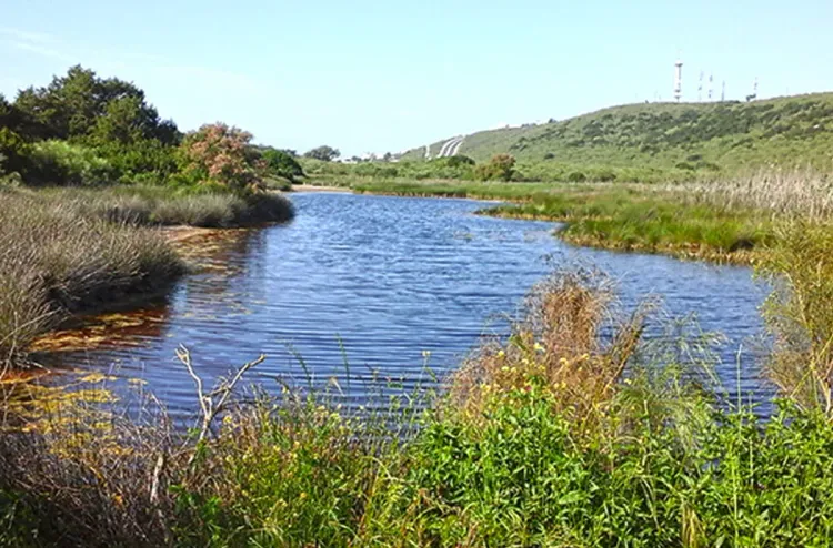 التساقطات المطرية الأخيرة تضخ حياة جديدة في أوصال محمية سيدي بوغابة