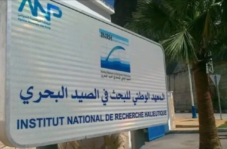 مخطط عمل 2026 .. المعهد الوطني للبحث في الصيد البحري يولي أهمية كبرى لتكثيف الاستكشاف ومراقبة النظم الإيكولوجية البحرية