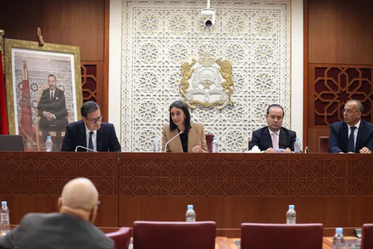 مشروع قانون المالية 2023 .. مجهود استثماري مهم وغير مسبوق