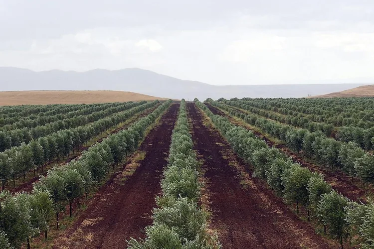 التساقطات المطرية الأخيرة تبعث الراحة في نفوس الفلاحين ومربي المواشي بإقليم الجديدة