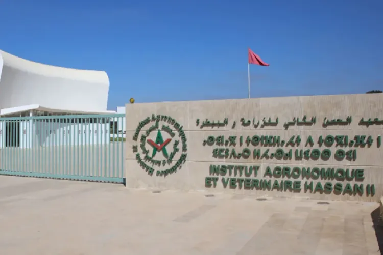 معرض معهد الحسن الثاني للزراعة والبيطرة: الدورة الرابعة تحت شعار التحول الترابي والتدبير الناجعة للموارد الطبيعية