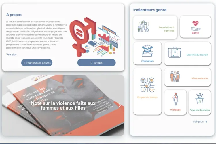 المندوبية السامية للتخطيط المغرب : إطلاق منصة تفاعلية لإحصاءات ودراسات النوع الاجتماعي