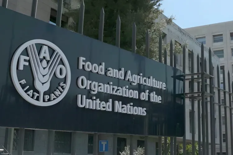 الفاو: المنطقة العربية واجهت في 2023 تحديات إقليمة جديدة أضعفت قدرتها على إيجاد حلول للأمن الغذائي