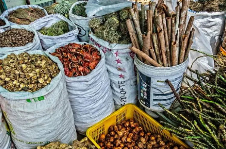 منظمة الصحة العالمية تطلق مكتبة رقمية تضم 1.6 مليون سجل عن الطب التقليدي