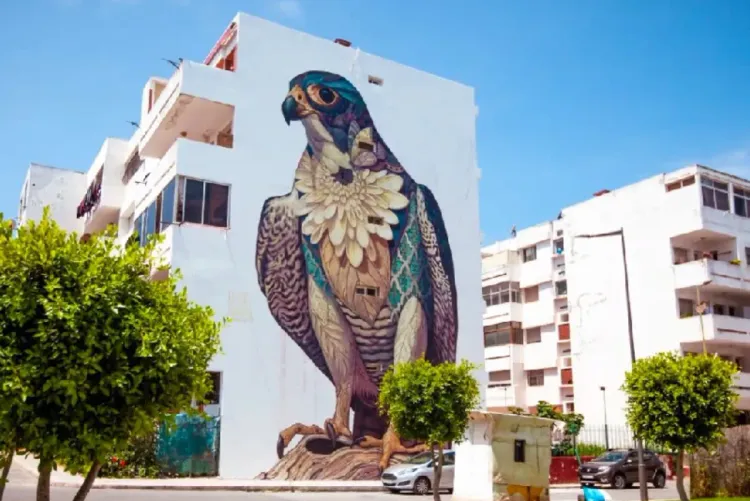 مهرجان جدار-الرباط.. فن الشارع في رحاب منتزه الحسن الثاني