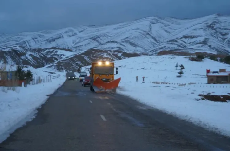 موجة البرد: استفادة 7000 أسرة من عملية البرد القارس