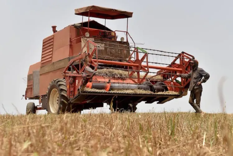 إقليم طاطا.. انطلاق موسم حصاد الحبوب البورية بواد درعة