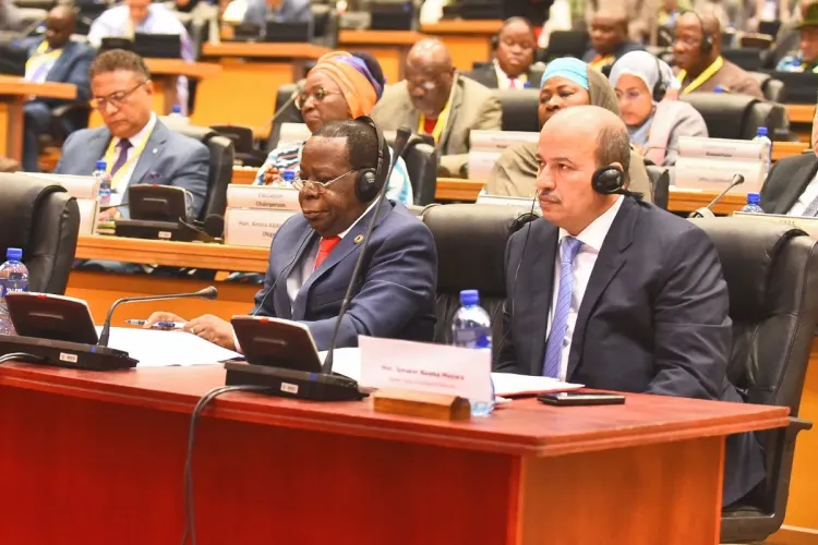 البرلمان الإفريقي: رئيس مجلس المستشارين يؤكد أولوية ورش تنفيذ منطقة التبادل الحر القارية الإفريقية بالنسبة للمغرب