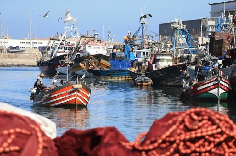 ميناء الحسيمة : انخفاض بنسبة 9 في كمية مفرغات الصيد البحري مع متم يوليوز الماضي (تقرير)