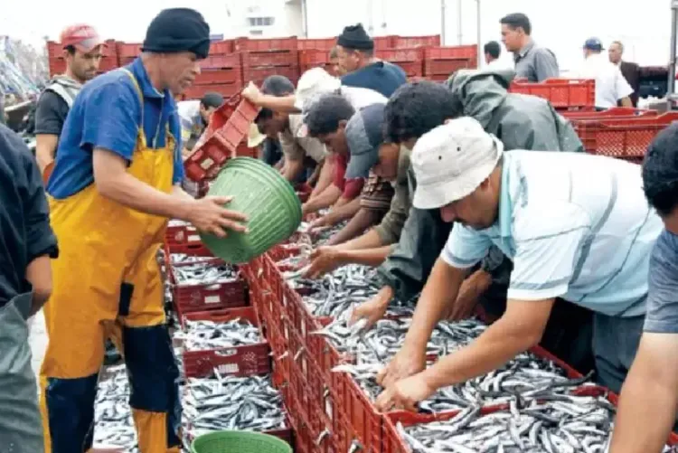 ميناء الحسيمة : انخفاض طفيف في كمية مفرغات الصيد البحري خلال النصف الأول من العام الجاري (تقرير)