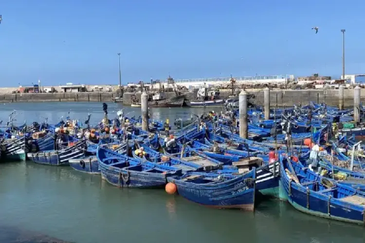 ميناء الداخلة.. انخفاض مفرغات الصيد البحري بـ 21 في المائة عند متم يوليوز (تقرير)