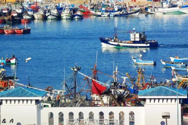 ميناء العرائش .. تراجع بنسبة 10 في المائة في مفرغات الصيد البحري مع متم ماي الماضي