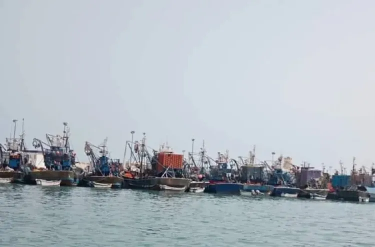 ميناء بوجدور .. انخفاض مفرغات الصيد الساحلي والتقليدي بنسبة 19 في المائة عند متم فبراير الماضي (مكتب)