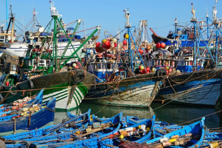 ميناء طانطان.. ارتفاع مفرغات الصيد الساحلي والتقليدي بنسبة 180 بالمائة مع متم ماي الماضي (تقرير)