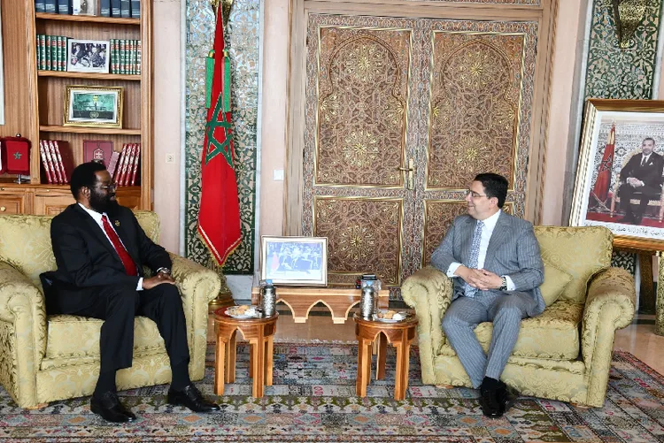 السيد بوريطة يستقبل رئيس لجنة الشؤون الخارجية بالبرلمان الغاني